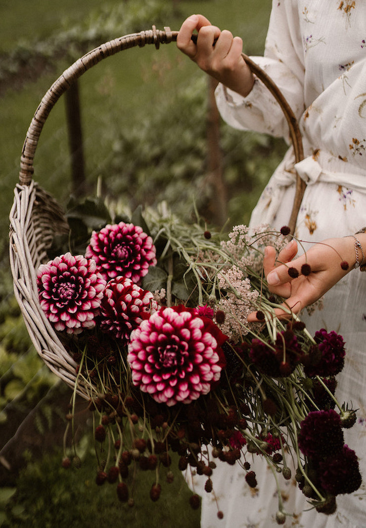 Le Fleurieus